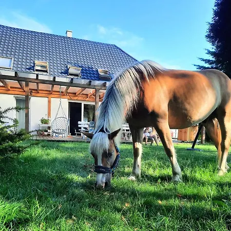 Siedlisko Hotel Gleznowo